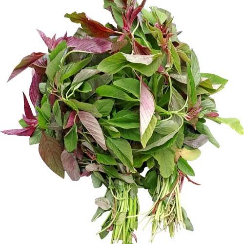 Amaranthus green leaves